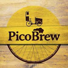 PICOBREW STATION